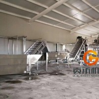 China factory high quality  mango puree plant production line