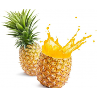 Pineapple processing machine,pineapple jam processing line,pineapple mango concentrate processing plant